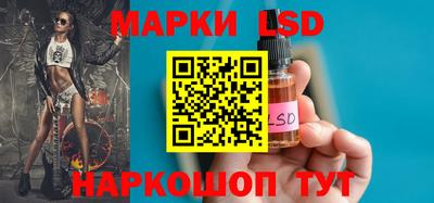 гидропоника Камышлов