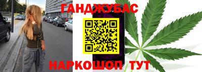гидропоника Камышлов