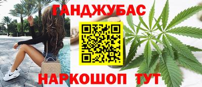 гидропоника Камышлов