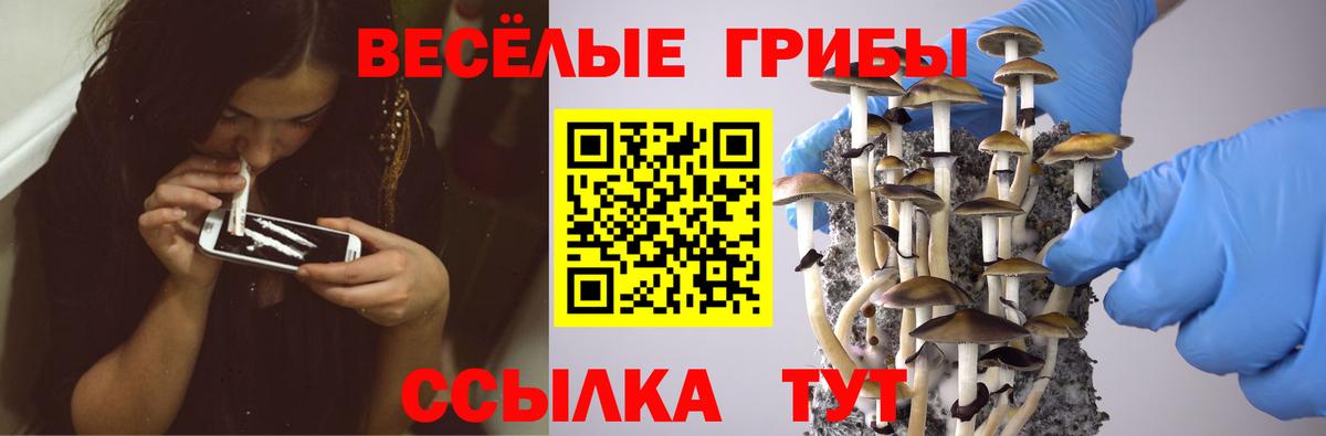 APVP Ленинск-Кузнецкий